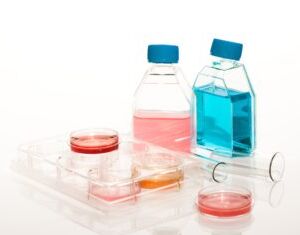 Cell-Culture-Flasks-2-350x235