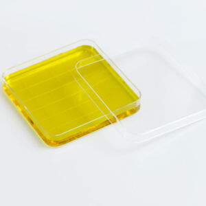 Petri-Dish-Square