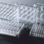 Cell Culture plates,6 well Cell Culture plates ,12 well Cell Culture plates ,24 well Cell Culture plates ,48 well Cell Culture plates ,96 well Cell Culture plates,384 well Cell Culture plates Surface Treated serological plates,96 well plate with lid Cell Culture Products,Tissue Culture Products ELISA Plates,Cell Culture products India,Manufacturer of Cell Culture products in India,Moxcare Cell Culture Prouducts Moxcare Cell Culture plates,Suspension cells adhesion cells Moxcare Laboratory Products,Moxcare Plastic Labware