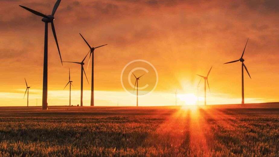 custom img 08 copyright