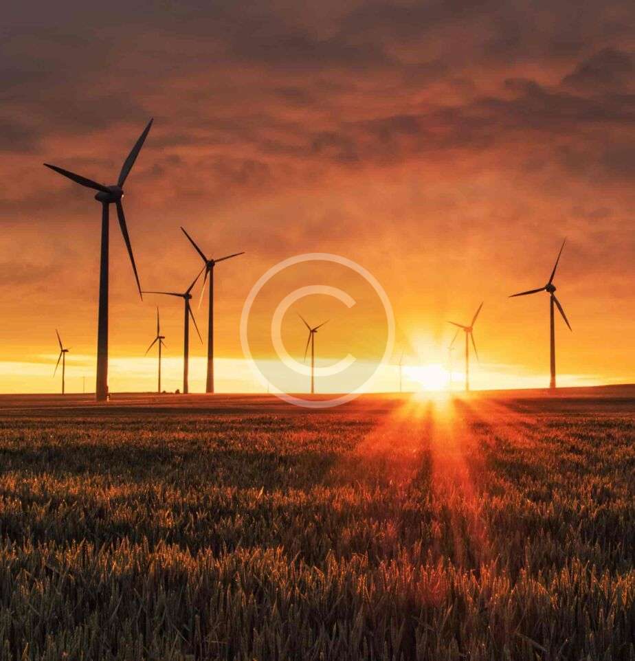 custom img 08 copyright