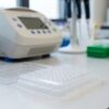 Collection of transparent laboratory pcr plate microplates for sample preparation and testing
