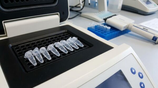0.2 mL Optical Clear PCR Tubes – Flat & Domed Cap Options 9 Sterile PCR sample tubes in a rack on a laboratory bench