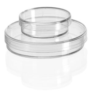 CULTURE-DISH-scaled-e1667890597362