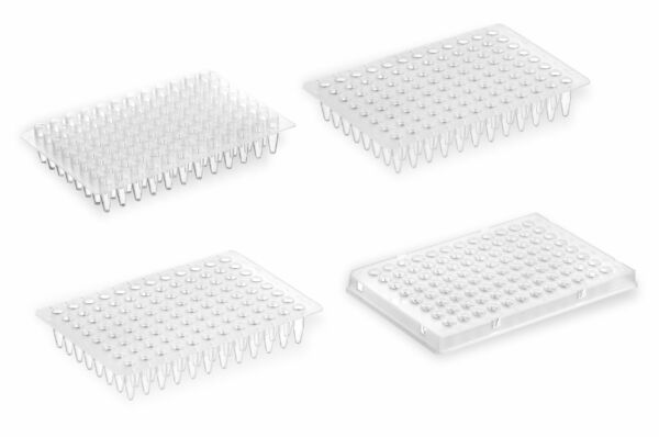 96 Well PCR Plates - ABI & Bio-Rad Compatible 1 PCR-Plates-scaled