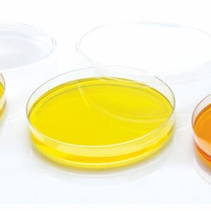 Petri-Dish-3-Compartment