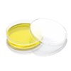 clear petri dish with yellow culture media and lid