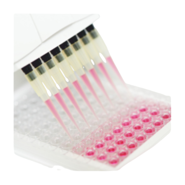 ELISA microplate flat bottom transparent wells lab plate