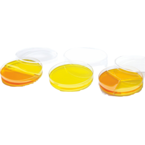 polystyrene compartment petri dish high clarity culture dish