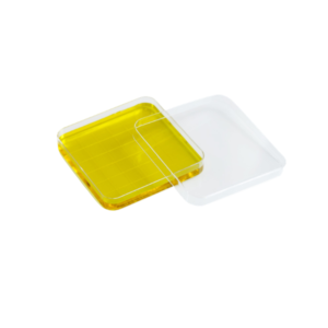 square petri dish sterile polystyrene laboratory culture dish