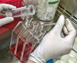 auto sampler products