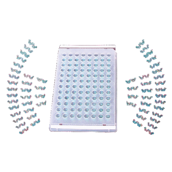PCR thermal seal films, 50 μm thick, heat-resistant, high optical clarity, non-pierceable, DNase/RNase-free, suitable for -40°C to +120°C.