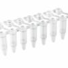 Clear PCR tube strip with attached caps for molecular biology labs